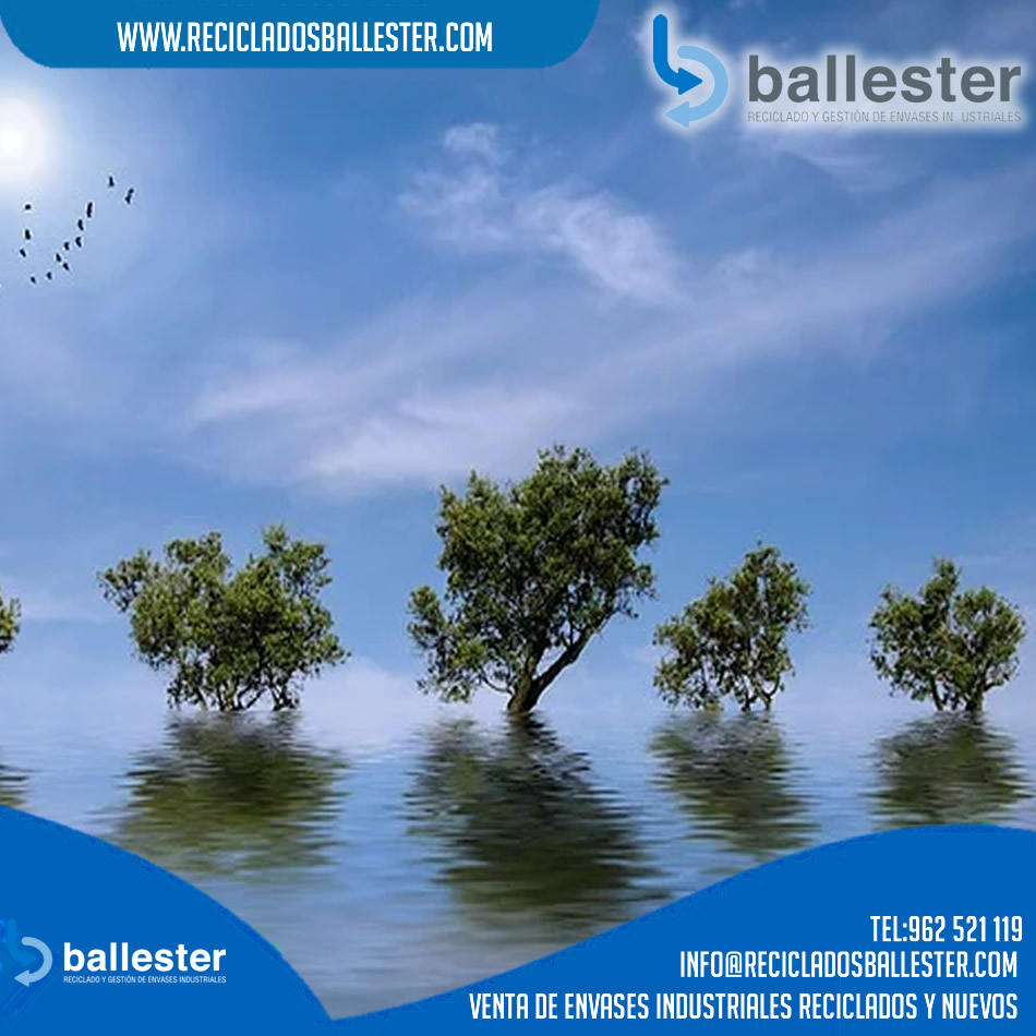"El futuro pertenece a quienes creen en la belleza de sus sueños"

Venta de Envases Reciclados y Nuevos

lnkd.in/dJt998e
#reciclaje #valencia #medioambiente #Envases #empresas #pymes #residuos #residuospeligrosos #Sostenibilidad