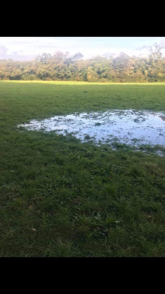 fingal_DOG's tweet photo. Reminder of Fingal Dog Protest tonight 7pm at FCC Office in Swords Main St! Surely in our large parks FCC can allow more than a flooded dog cage for dogs to act naturally swim in a river rather than a puddle or throw a ball without being fined !! https://t.co/bInnzUAFDe