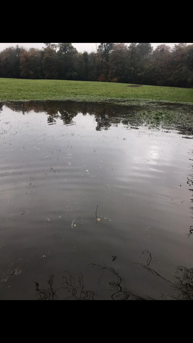 fingal_DOG's tweet photo. Reminder of Fingal Dog Protest tonight 7pm at FCC Office in Swords Main St! Surely in our large parks FCC can allow more than a flooded dog cage for dogs to act naturally swim in a river rather than a puddle or throw a ball without being fined !! https://t.co/bInnzUAFDe