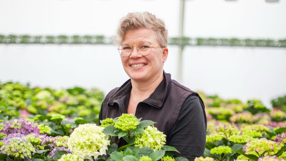 Vuoden kukkaisin kuukausi on käynnissä. Kauppapuutarhat ympäri Suomen viljelevät kauneimmat kukat äitienpäivään, valmistujaisiin ja puutarhoihin koko kesäksi. Myös yhtä harvinaisuutta, kotimaista leikkoruusua, viljellään kevään juhliin 🇫🇮🌹🌺