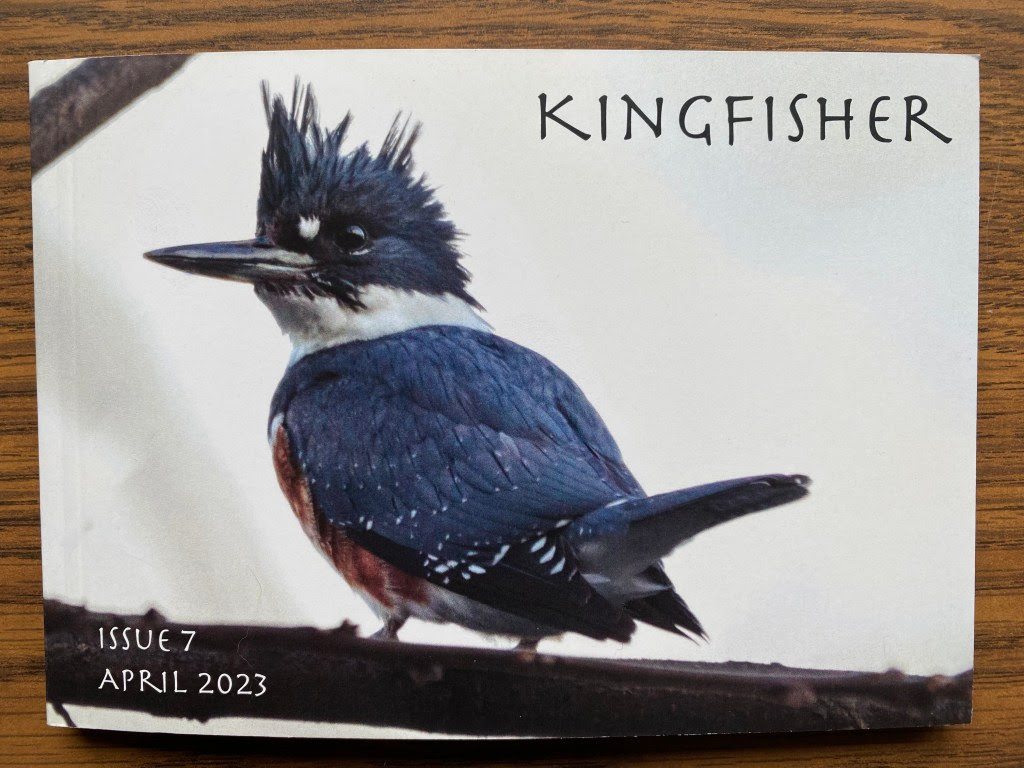 Hifsa Ashraf tweet media