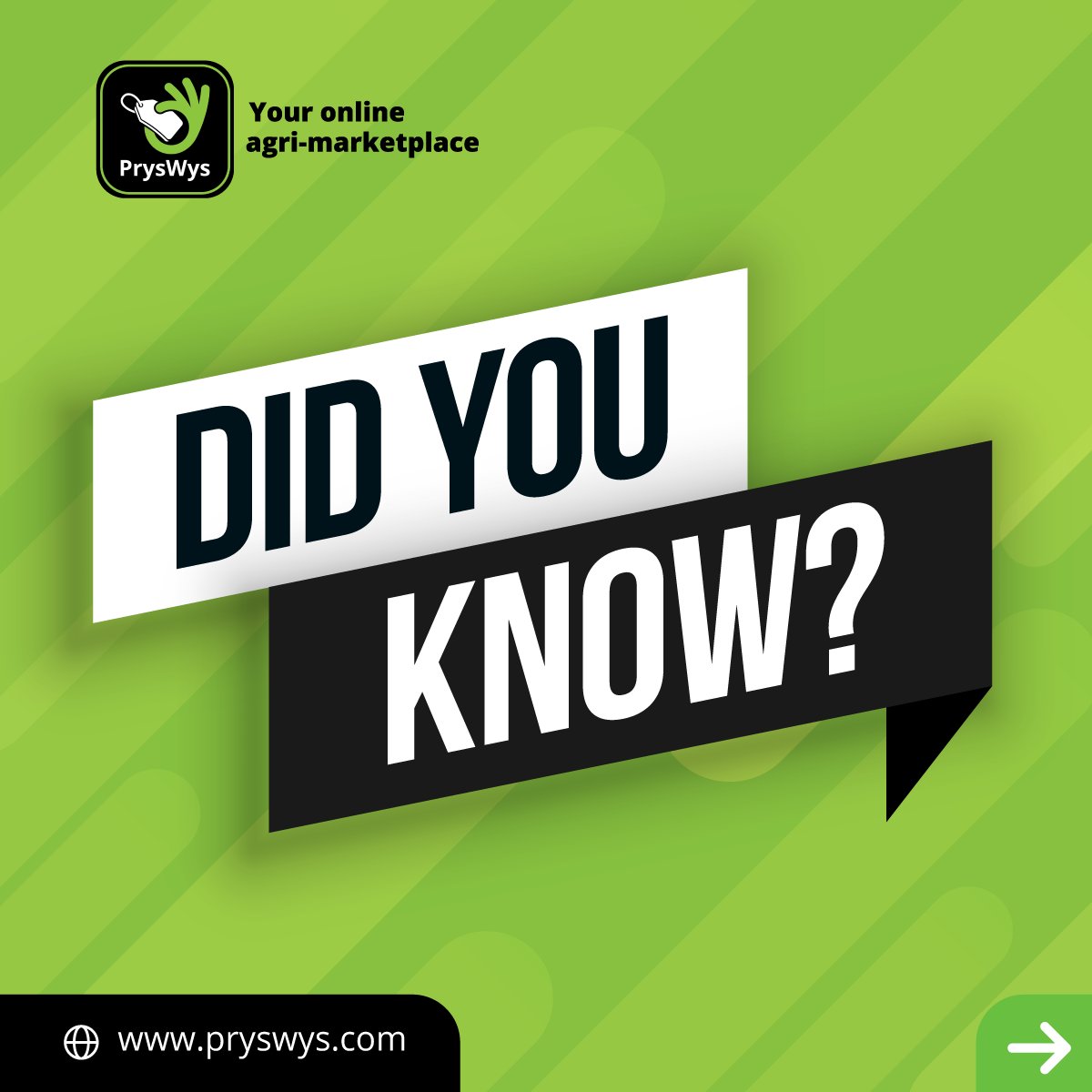 TeamSwiftVEE's tweet image. 💭DID YOU KNOW?💭

SANSOR verify more than 50 000 ha of seed crops annually.

Get a quote for quality seeds on PrysWys.

Download the app for free from the Apple store: ow.ly/Ticc50JA84M

Download the app for free from Google Play: ow.ly/9oo550JA84Q

#PrysWys