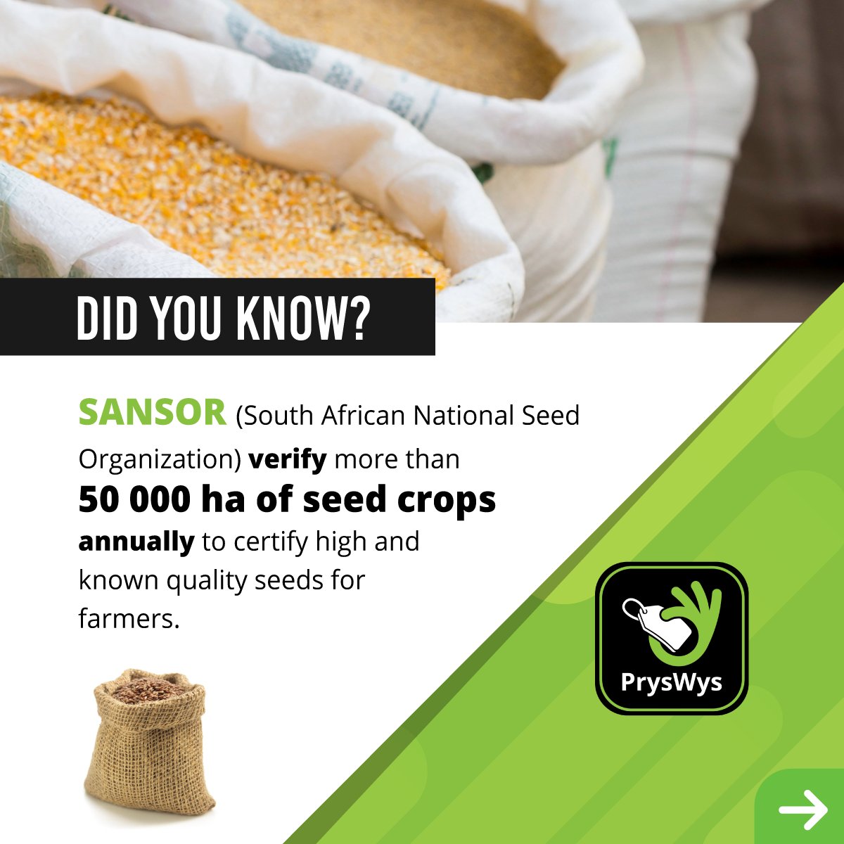 TeamSwiftVEE's tweet image. 💭DID YOU KNOW?💭

SANSOR verify more than 50 000 ha of seed crops annually.

Get a quote for quality seeds on PrysWys.

Download the app for free from the Apple store: ow.ly/Ticc50JA84M

Download the app for free from Google Play: ow.ly/9oo550JA84Q

#PrysWys