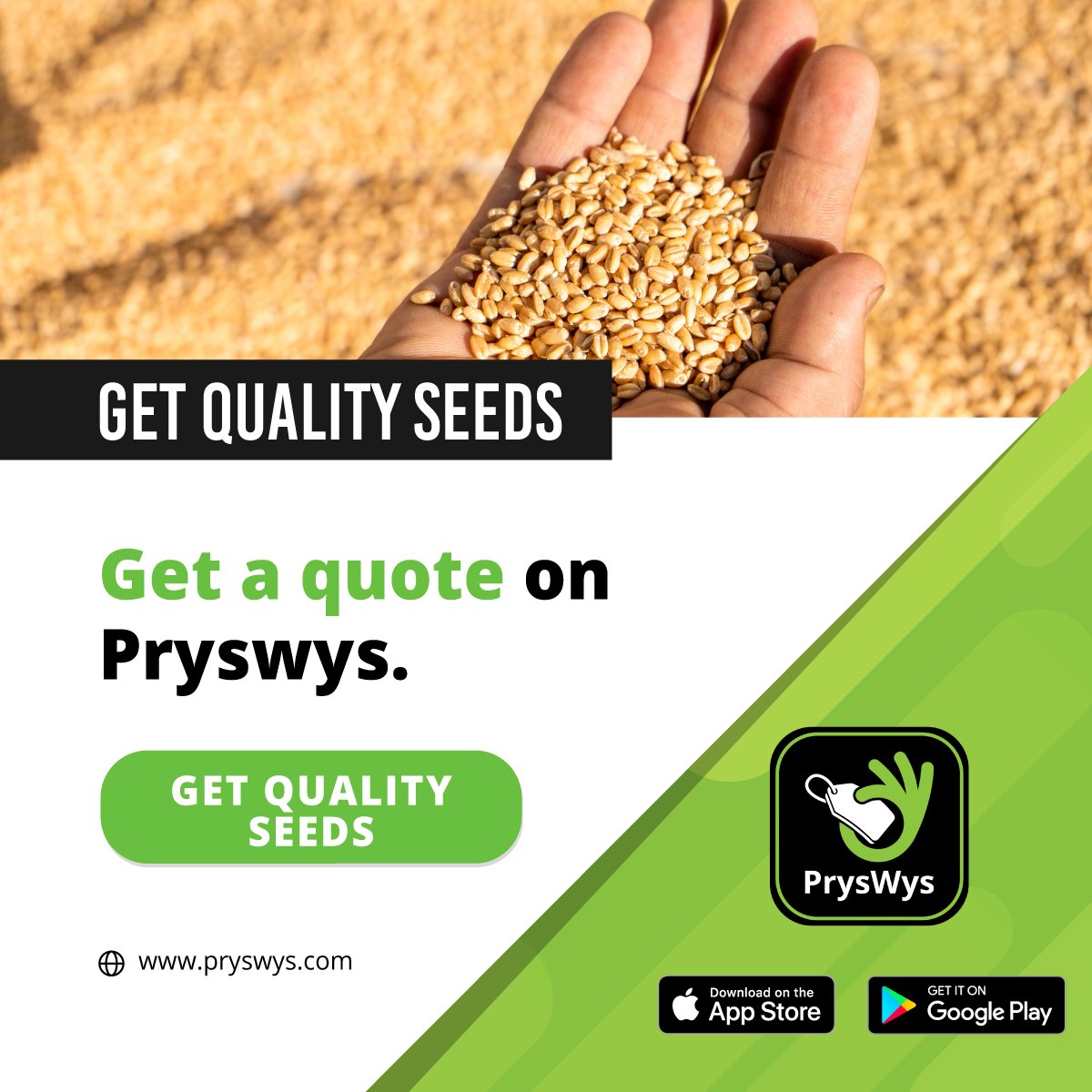 TeamSwiftVEE's tweet image. 💭DID YOU KNOW?💭

SANSOR verify more than 50 000 ha of seed crops annually.

Get a quote for quality seeds on PrysWys.

Download the app for free from the Apple store: ow.ly/Ticc50JA84M

Download the app for free from Google Play: ow.ly/9oo550JA84Q

#PrysWys