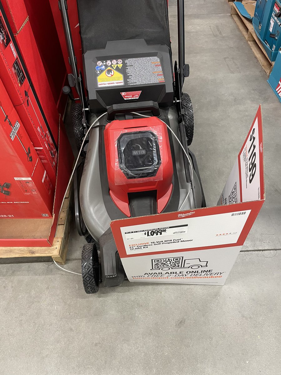 Ryan 🌷 tweet media