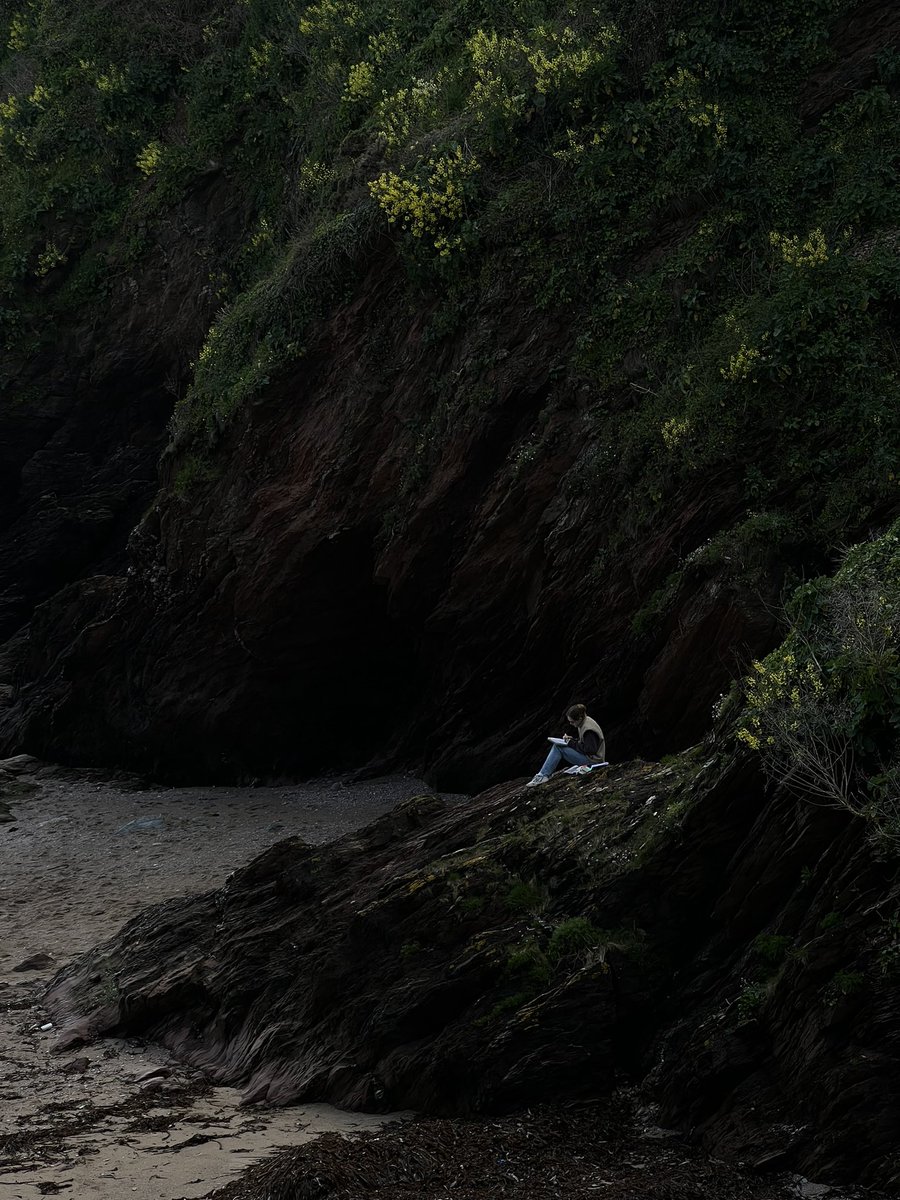 seertorshi's tweet photo. the cove https://t.co/4HxWIvcFW8