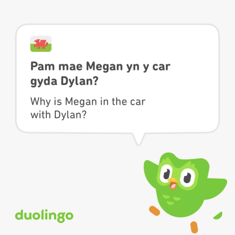AliMorgan2304's tweet photo. There’s a scandal about to break … hope this one doesn’t include parsnips 🤣🤣#LearningWelsh #DuoLingo https://t.co/2Buf6dDynG