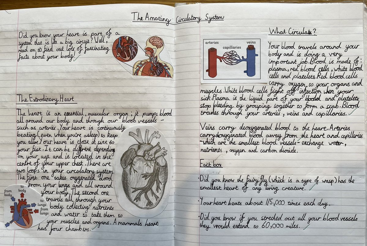 TeacherRG's tweet photo. Love a double page spread! 
A superb effort from my class with this work - so proud of them. https://t.co/onvwvUPhmI