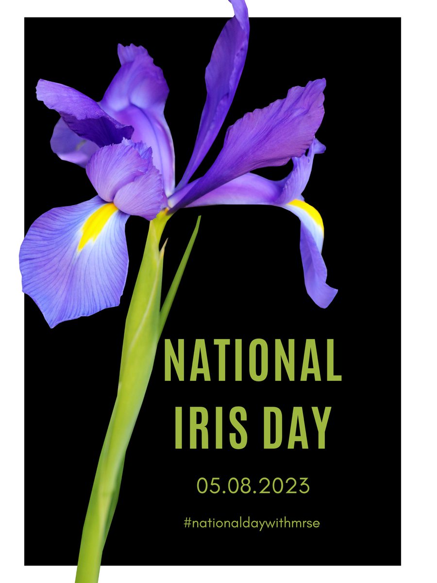 Happy National Iris Day!
#nationaldaywithmrse #nationalirisday #IRISday #iris #irisflower

youtu.be/ewpA-jOEARI