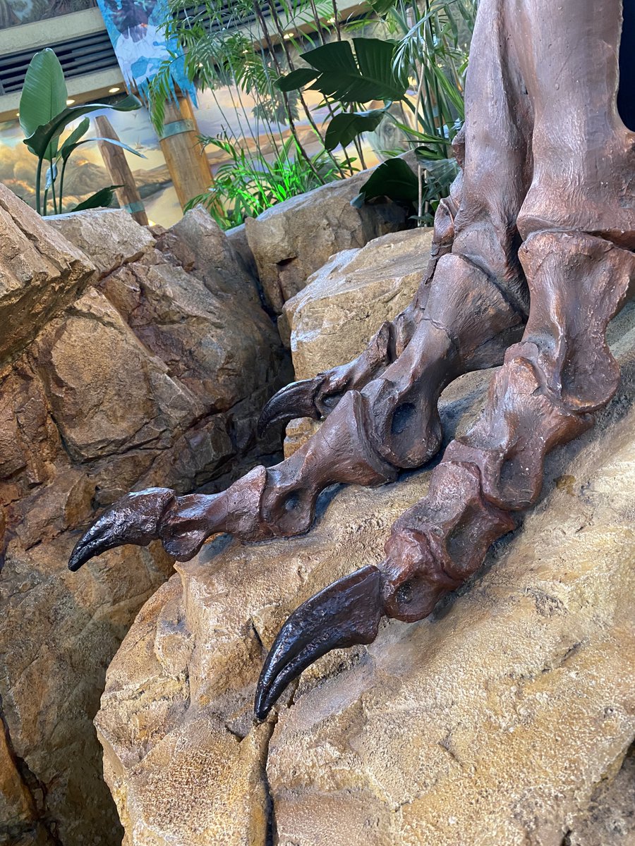 dinosaurhuman's tweet photo. いってきましたー https://t.co/ZRxR0RM7yv