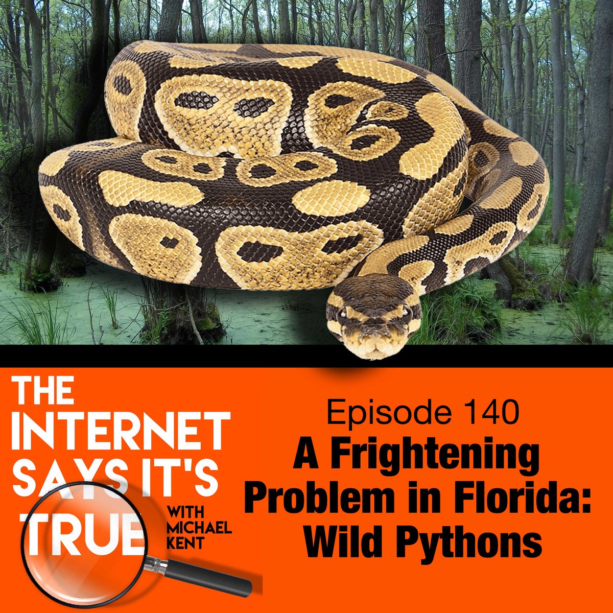 There aren’t supposed to be Pythons in Florida. Yet experts think there are anywhere from 30-150k living in the Everglades. In this ep, we find out why there are so many pythons loose in FL, what’s being done about it, then speak with <a href="/Matt_Dillahunty/">Matt Dillahunty</a>! NPR:bit.ly/3NPcvy6
