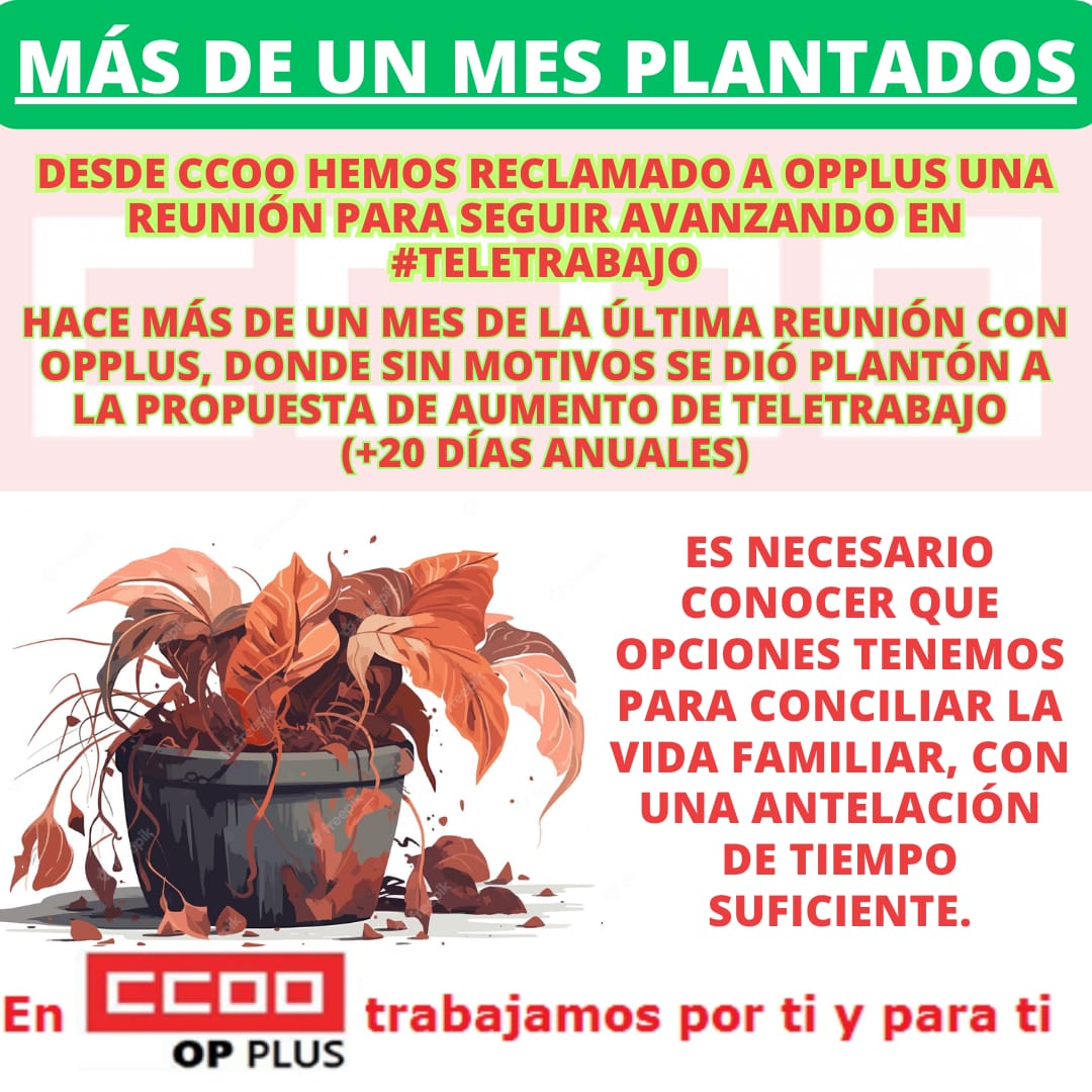 CCOO_opplus's tweet photo. #QueremosMás
#teletrabajo
En #CCOO trabajamos por ti y para ti
#opplus #BBVA
@serviciosccoo https://t.co/Mzrh7HadgB