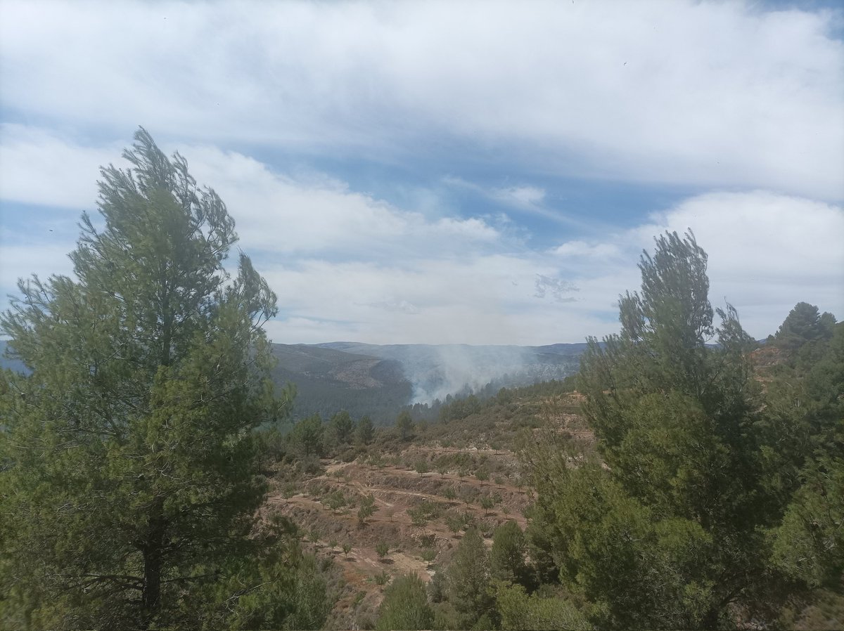 Hardacho tweet media