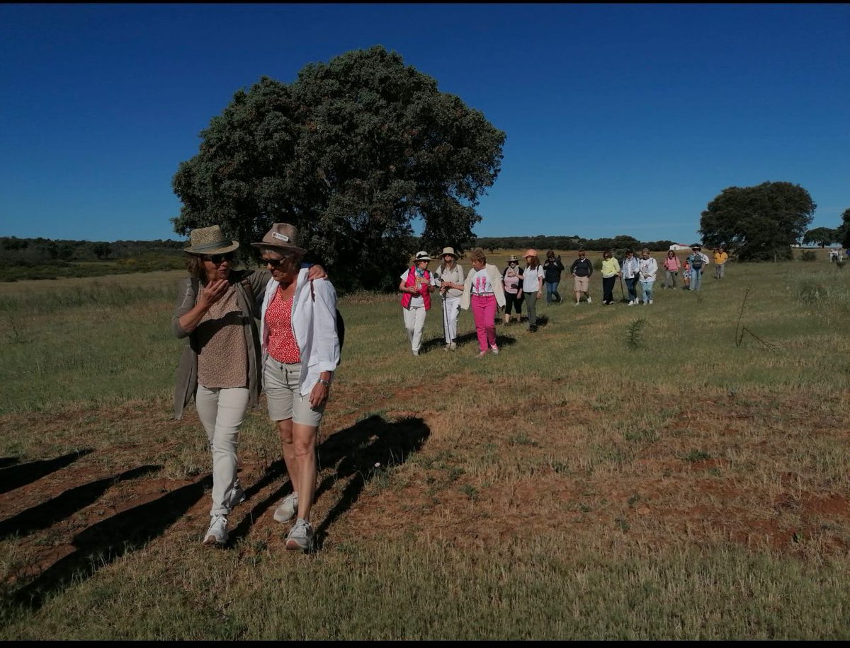 FDoloresBas's tweet photo. Una nueva jornada de fin de semana en buena compañía disrutando de la riqueza natural e histórica de #ElRebellao. ¡Gracias a todos por venir a conocerlo!
Podéis ver más fotos de la ruta en nuestra web: https://t.co/hw7JNXmbvS
#Badajoz #naturaleza #historia #arqueología #ruta https://t.co/E3zAaddxkW