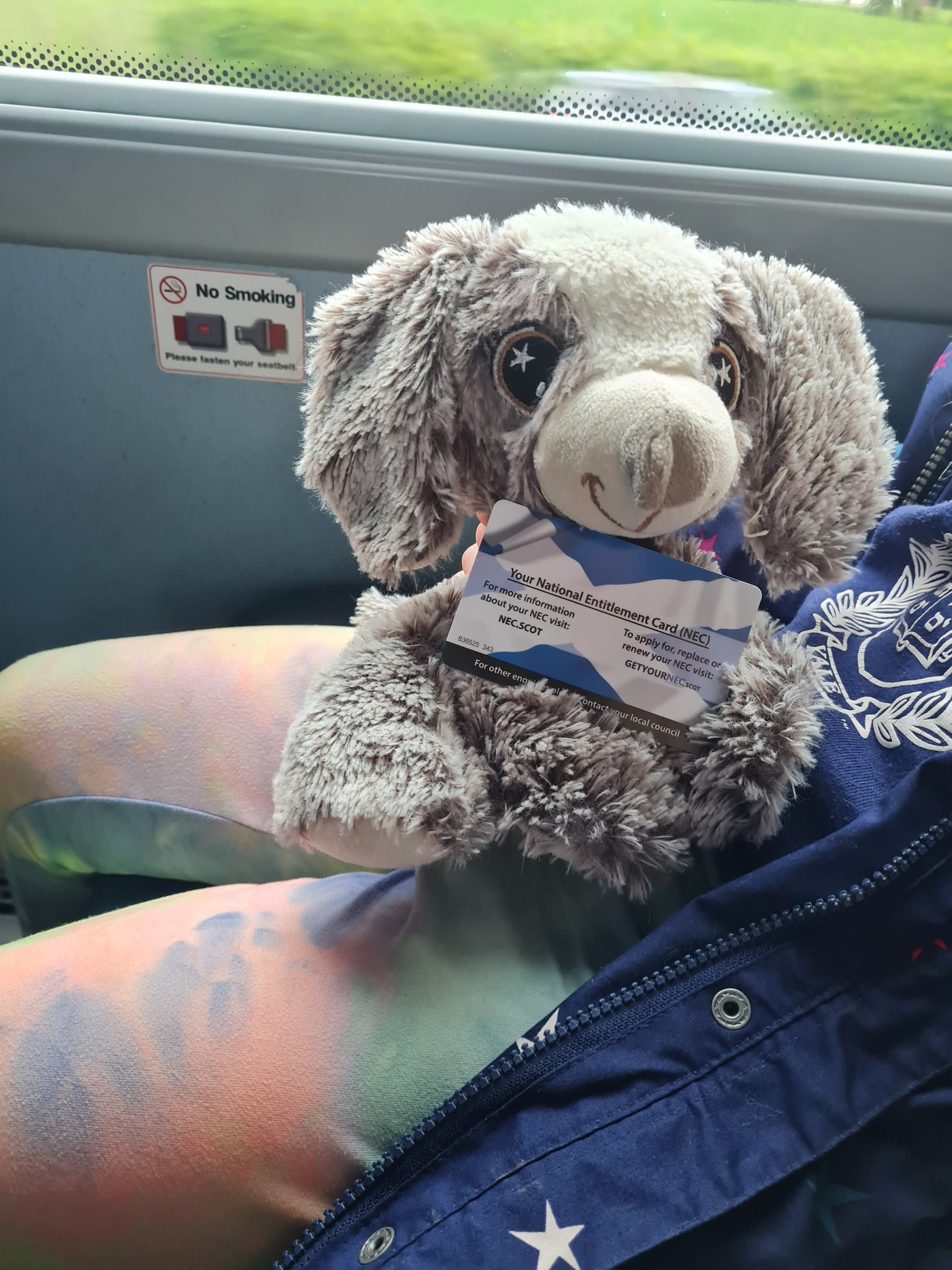 stagecoach-west-scotland-on-twitter-rodger-kaitlyn-hi-kaitlyn-when