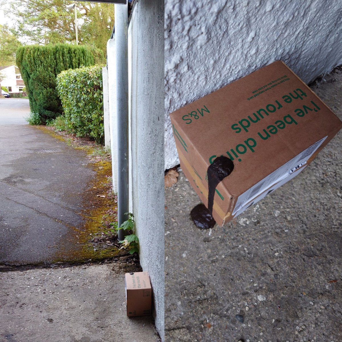 Bill Palmer tweet media