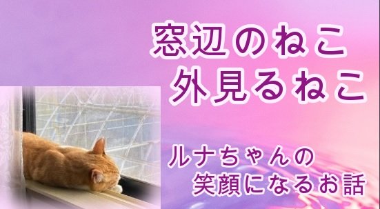HappyCatStory's tweet photo. ユーチューブ動画【幸せなねこの物語 6話】
テレビ大好きっ子ルナちゃんの願いが可愛い笑顔になるお話https://t.co/GiYX0SDcys 

#ねこ #猫との暮らし #保護猫 #保護猫カフェ #猫好きさんと繋がりたい #猫のいる生活 #ねこグッズ #ねこのきもち #茶白猫 #ハチワレ #黒白はちわれ https://t.co/yqn5sl91vc