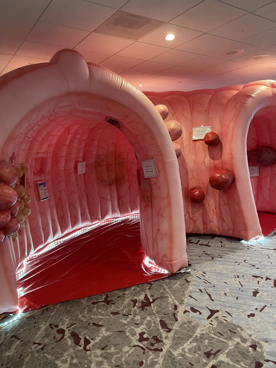 You will only see this on a ostomy conference. A colon tunnel