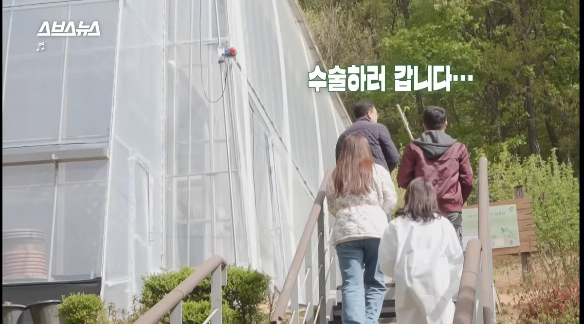 lohgka's tweet photo. 우리나라 최초 반려식물병원 소개 영상인데 잎사귀 한 장 남은 몬스테라ㅠㅋㅋㅋㅋㅋㅋㅋㅋㅋㅋㅋㅋㅋㅋㅋㅋㅋㅋㅋㅋㅋㅋㅋㅋㅋㅋㅋㅋㅋㅋㅋㅋ넘 처량하고 슬픈데 웃김 ㅠㅠㅠㅠㅠㅋㅋㅋㅋㅋㅋㅋㅋㅋㅋㅋㅋㅋㅋㅋㅋㅋㅋㅋㅋ https://t.co/DaarEqmSey
