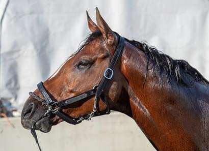 marspenny69oo's tweet image. Day 8 of #MaximumSecurity month! 

Photo credit Skip Dickstein