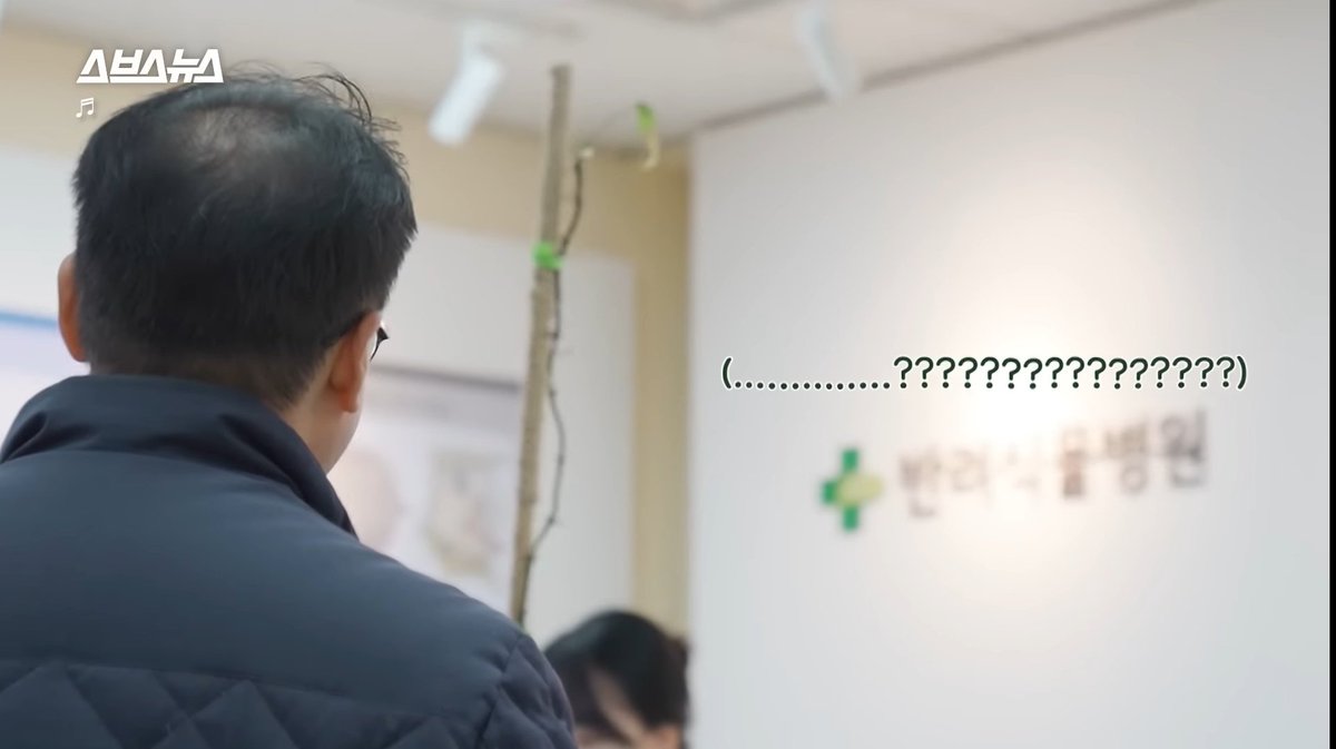 lohgka's tweet photo. 우리나라 최초 반려식물병원 소개 영상인데 잎사귀 한 장 남은 몬스테라ㅠㅋㅋㅋㅋㅋㅋㅋㅋㅋㅋㅋㅋㅋㅋㅋㅋㅋㅋㅋㅋㅋㅋㅋㅋㅋㅋㅋㅋㅋㅋㅋㅋ넘 처량하고 슬픈데 웃김 ㅠㅠㅠㅠㅠㅋㅋㅋㅋㅋㅋㅋㅋㅋㅋㅋㅋㅋㅋㅋㅋㅋㅋㅋㅋ https://t.co/DaarEqmSey
