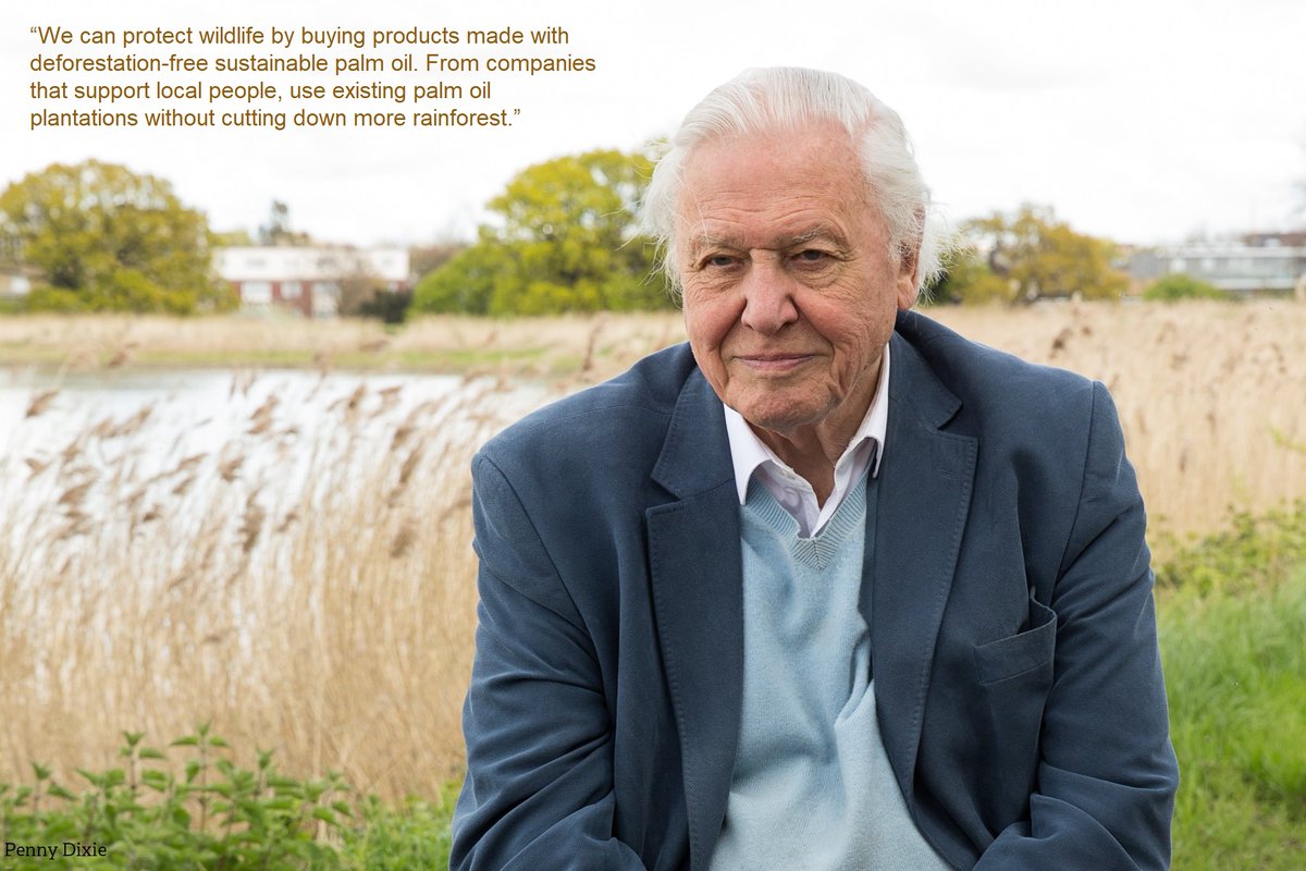 Happy Birthday to #SirDavidAttenborough!