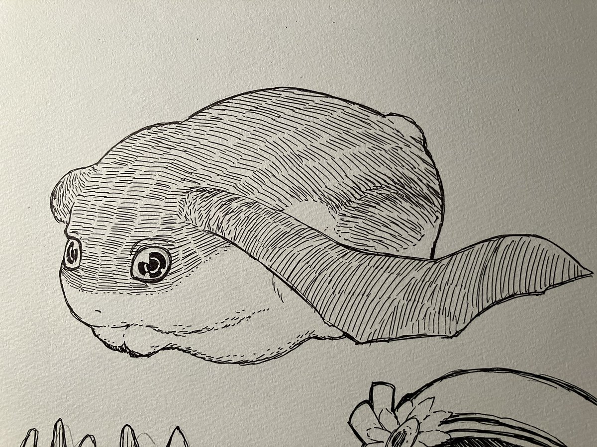 ぱたもん 