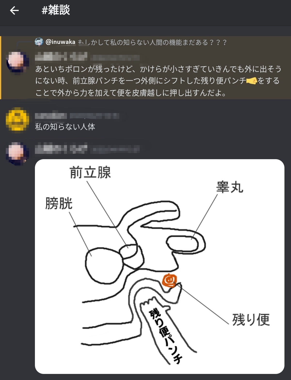 犬若丸かなめ@VRChat on Twitter: 