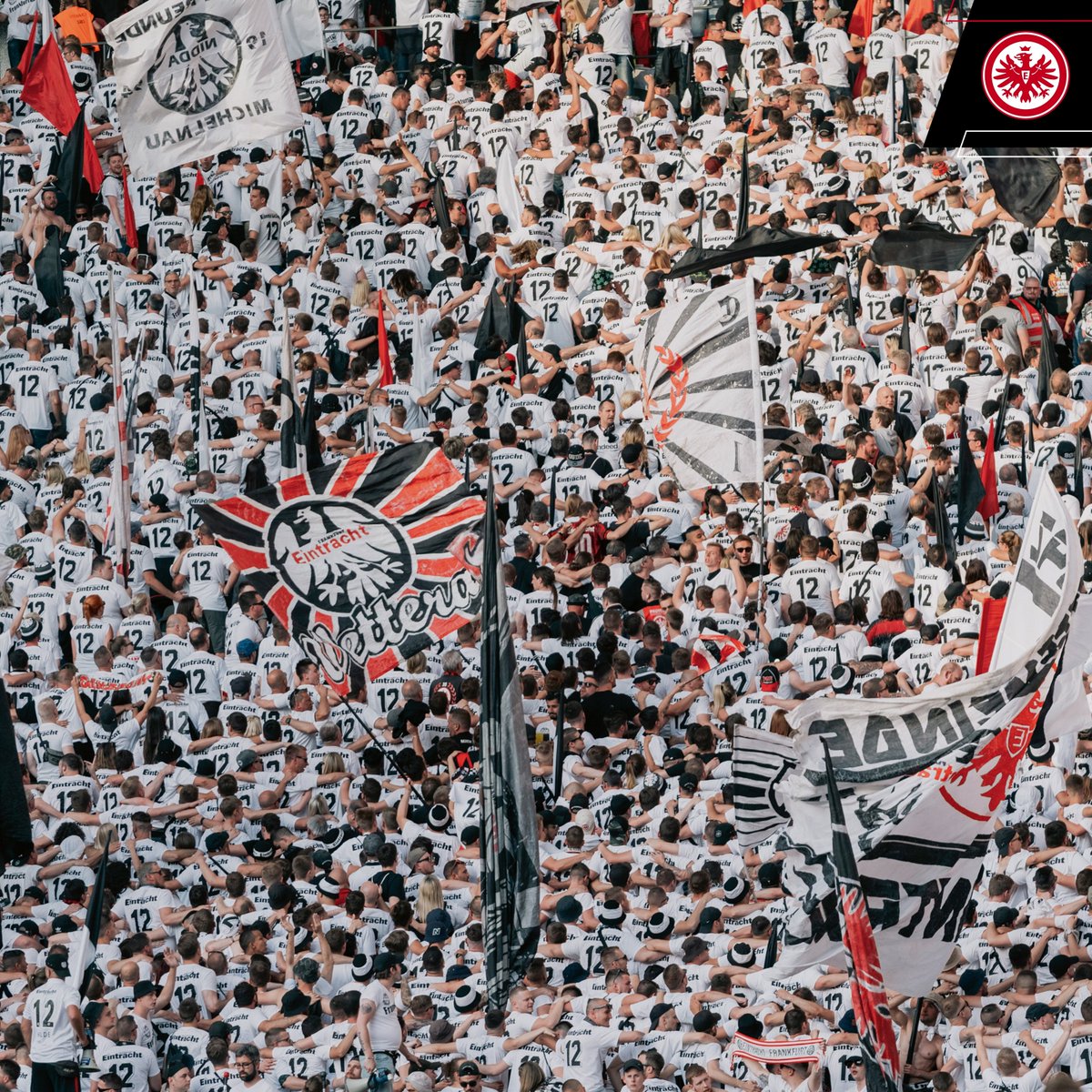 Eintracht's tweet image. 🏆 Die Eckdaten zum DFB-Pokalfinale sind geklärt:

Ostkurve ✅
Heimkabine ✅
Breitscheidplatz ✅
Weißes Finaltrikot ✅

Mehr dazu ⏩ go.eintracht.de/aVM2uM 

#SGE | @DFB_Pokal
