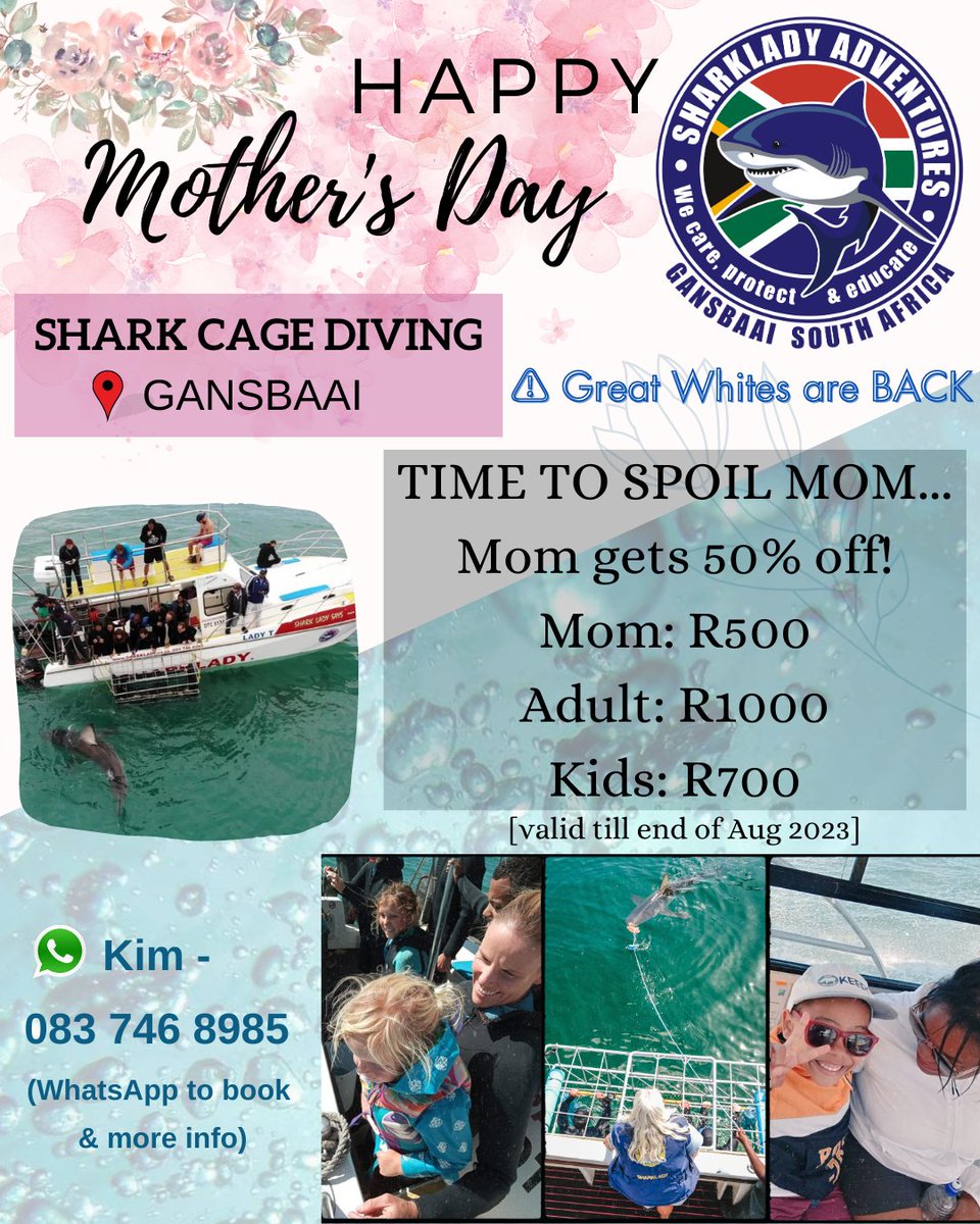TheSharkladySA's tweet photo. M O T H E R 'S D A Y special...
We have an awesome special running for families, and especially for YOU mom 🥰
#SharkladyAdventures #Sharklady #SharkDivers #SharkCageDiving #CageDiving #Sharks #SharkExperience #EcoTourism #HermanusTourism #SharkDiving #SharkAlley #Gansbaai https://t.co/w1fDftC1z2