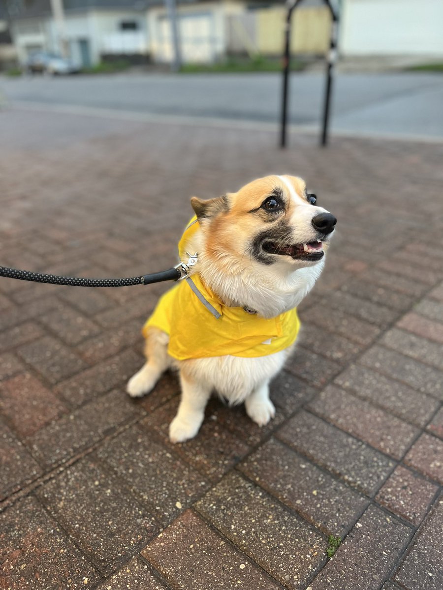 TheCaptainColin's tweet photo. ☔️ https://t.co/rS3LjRVG1i