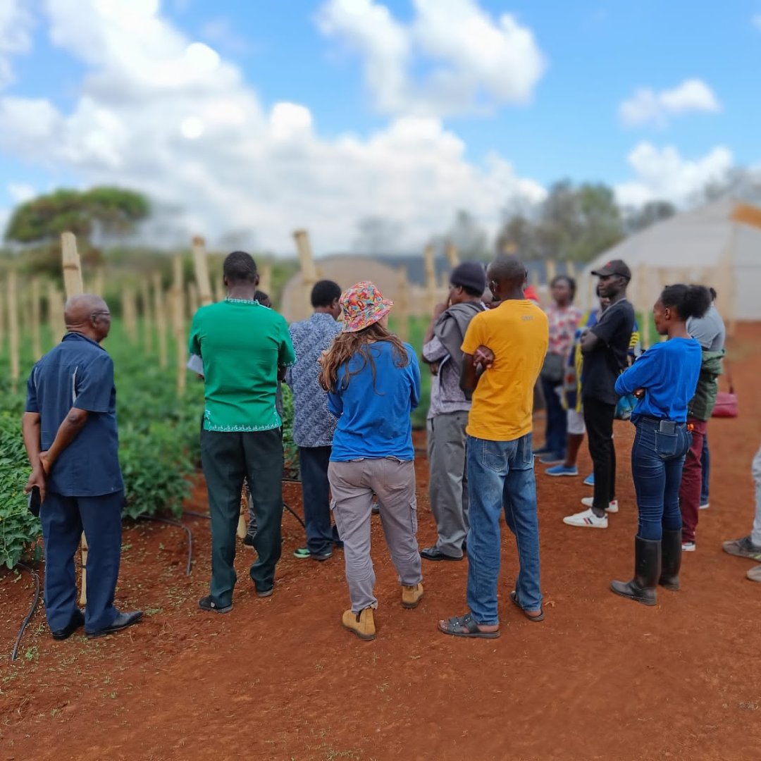Water4M's tweet image. Growing together toward a sustainable future 🌱🌿🌾 
AITEC Embu&apos;s first farmer training was a success! Follow us for more updates! Thank you for your continued support! #AITEC #FarmerTraining #Sustainability