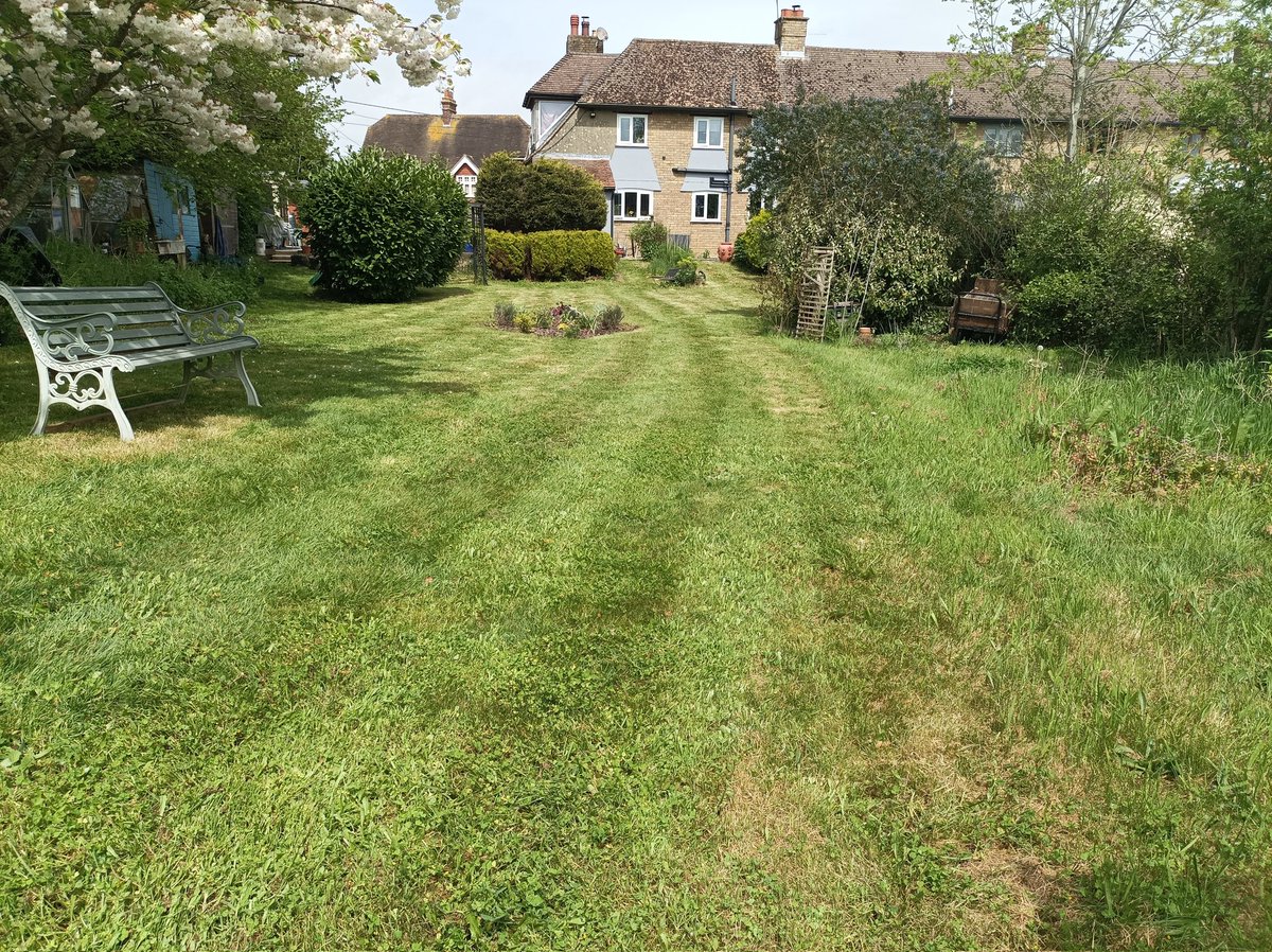 pandyjackadandy's tweet image. Garden is slowly getting there.