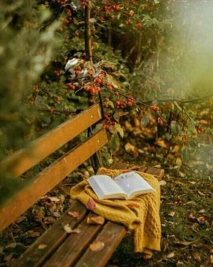 Sidi_ll's tweet photo. إذا لم تفعل بك العلاقات من حولك كما يفعل الربيعُ بالأزهار اهجرها ؛ يارفيقي هي حياةٌ واحدة... https://t.co/EYwf7KNQJ8