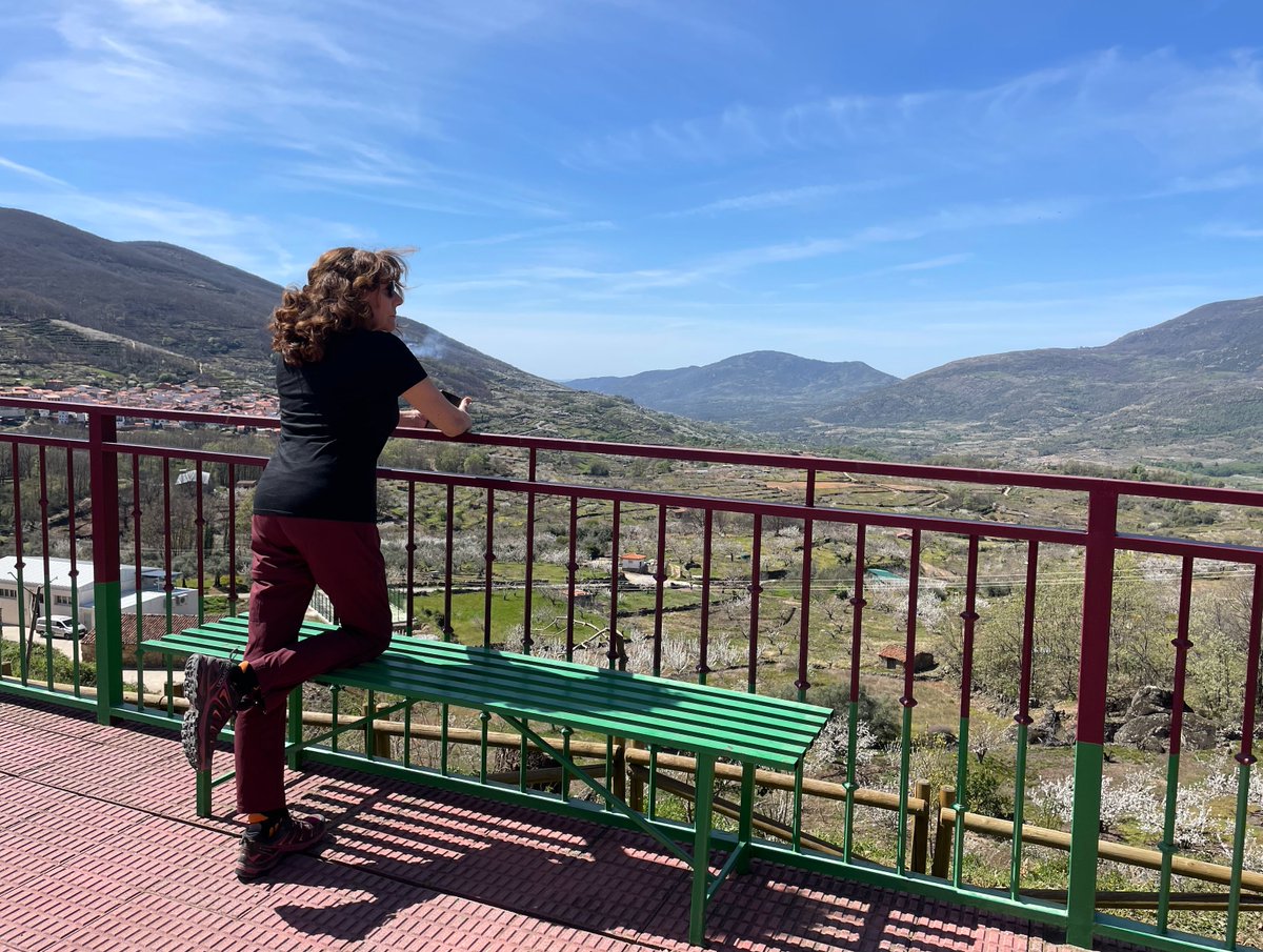 viajesymapas tweet media