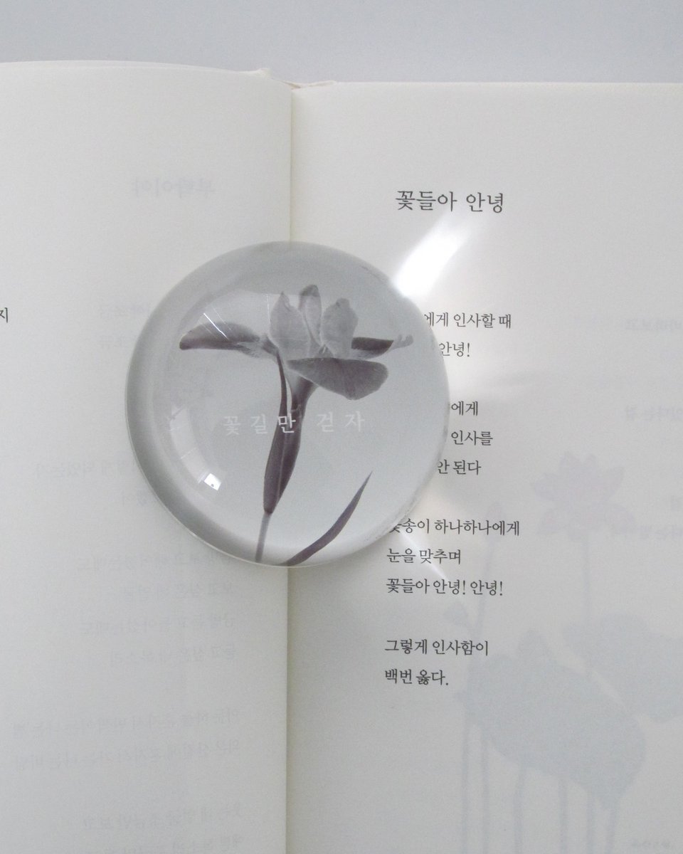 flower/home paper weight

インテリアとしても使えるペーパーウェイト
置いておくだけでも可愛いし、光が反射するともっと綺麗にみえる商品です🪞 <a href="/ggotgill/">ggotgill(コッキル)</a> ぜひチェックを！

ggotgill.com/items/74298336