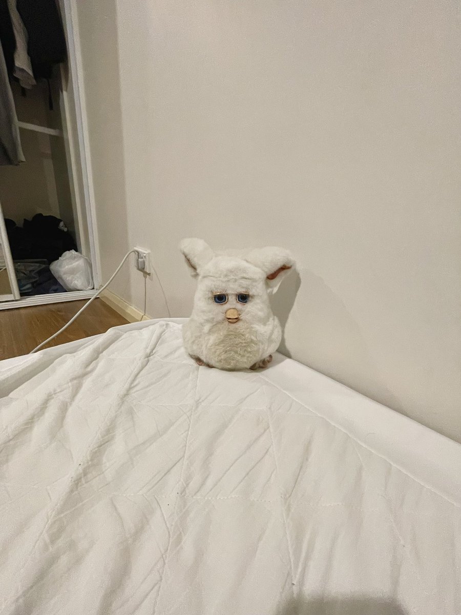 絶妙なサイズで今日もかわいい♡
#ファービー
#ファービー2
#furby