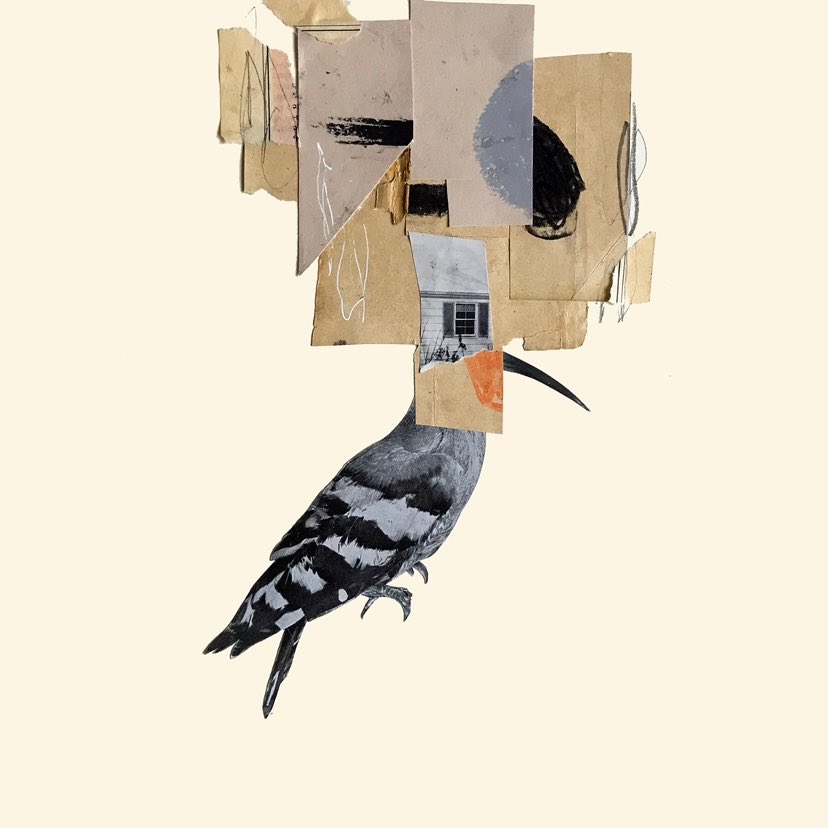 elsrgarcia's tweet photo. Mira y escucha
https://t.co/VMIREE8qk8

Más cerca del cielo
Collage sobre papel 250g
30 x 30 cm 

A la venta en @guntergallery https://t.co/ioBRvfwVCc
