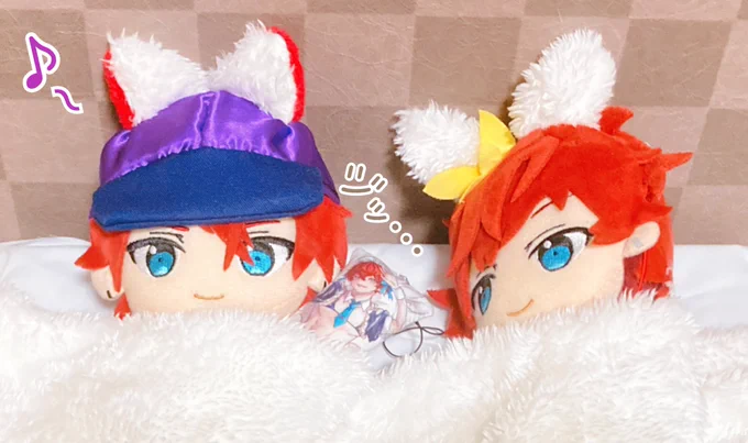ダルマちゃん( )からりんぬいに抱き枕をプレゼントしてもらいましたりんぬいもとても嬉しそうです※少し燐一