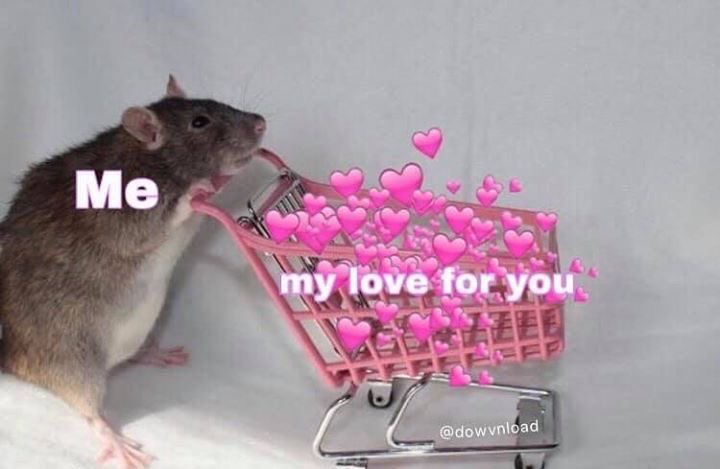 ꒰ Cya ꒱ؘ•°༊*·˚ tweet media