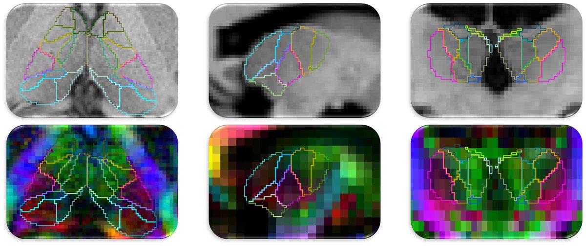 Henry Tregidgo tweet media