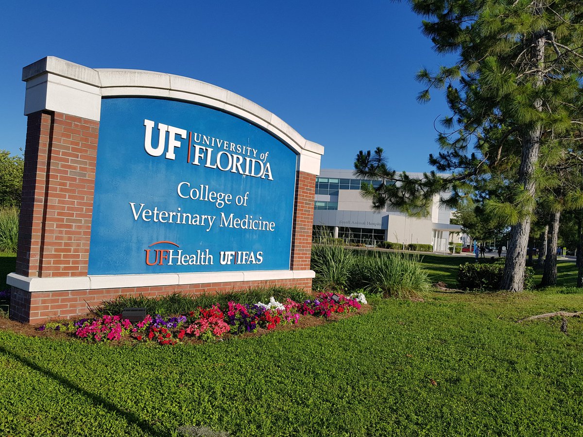 For #ManateeMonday I'm at UF Vet College, learning more about the manatee backbone as part of the #Back2Sea project!