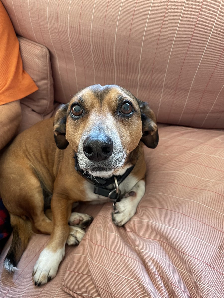 Jarred Green tweet media