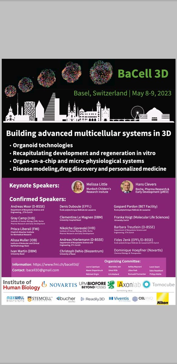 LorentzPascal's tweet photo. Looking forward to Ivan Martins's talk from the @DepBiomedicine @BaCell3D conference about human 3D organotypic culture systems towards tissue regeneration and disease modeling. https://t.co/5rOOGrzjwf