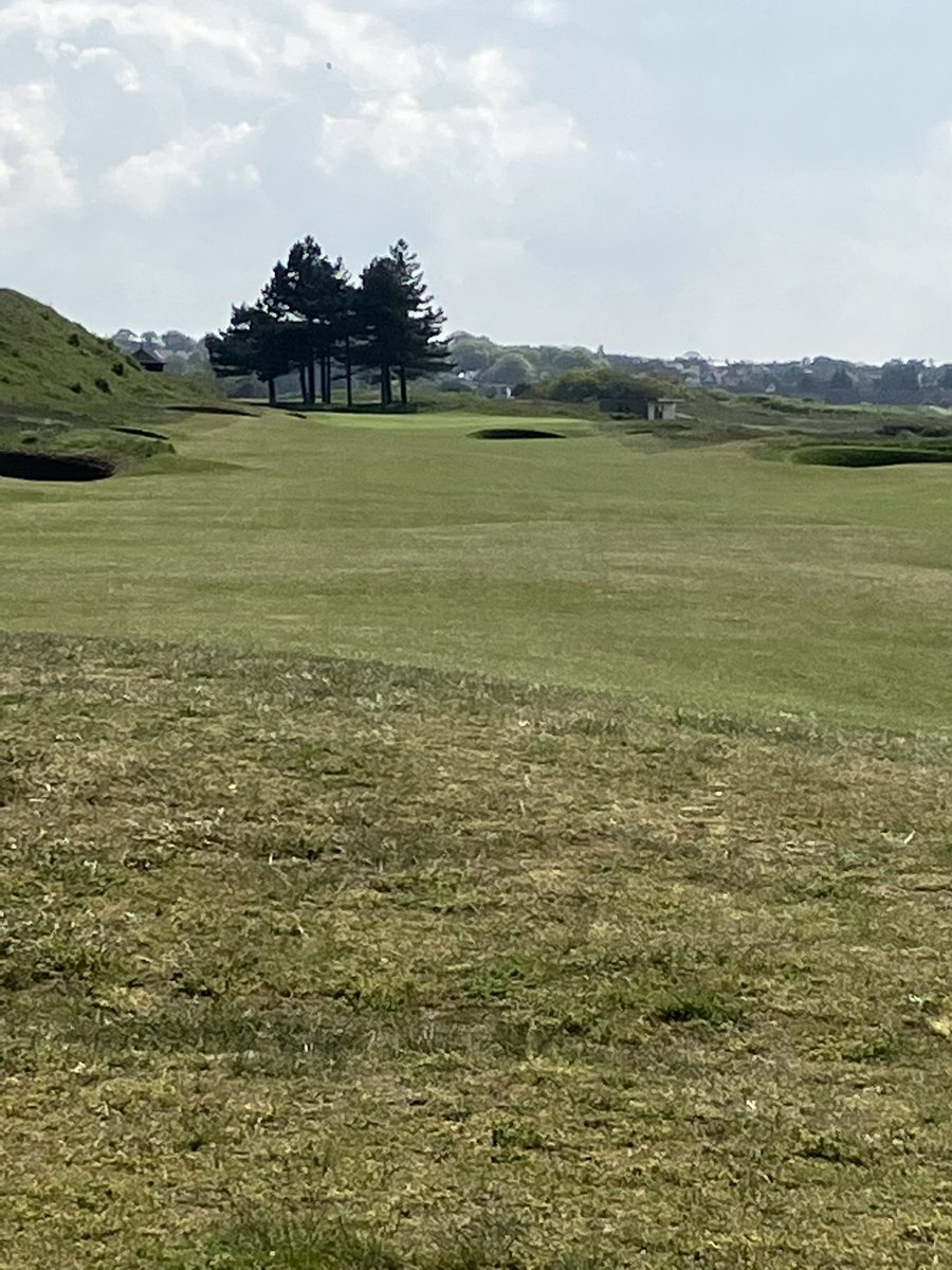 Doctorgolf tweet media