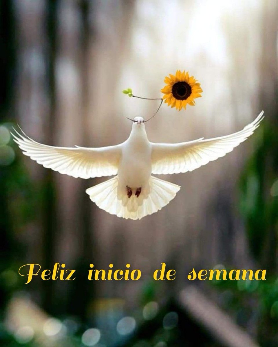claudio28301023's tweet photo. Tuyos son, Señor, la grandeza y el poder, tu eres rey y soberano de todo. Aleluya. https://t.co/FSSHEL9aKQ
