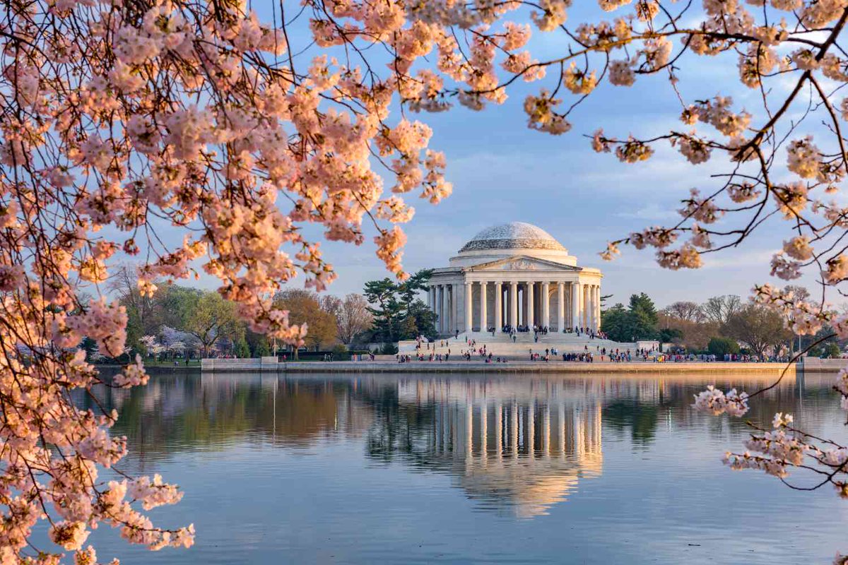atscommunity's tweet photo. We are 1⃣1⃣ DAYS AWAY from #ATS2023!! You can still register for the conference using the link below:

https://t.co/duZCtp9VAY https://t.co/EPIxctxyVA