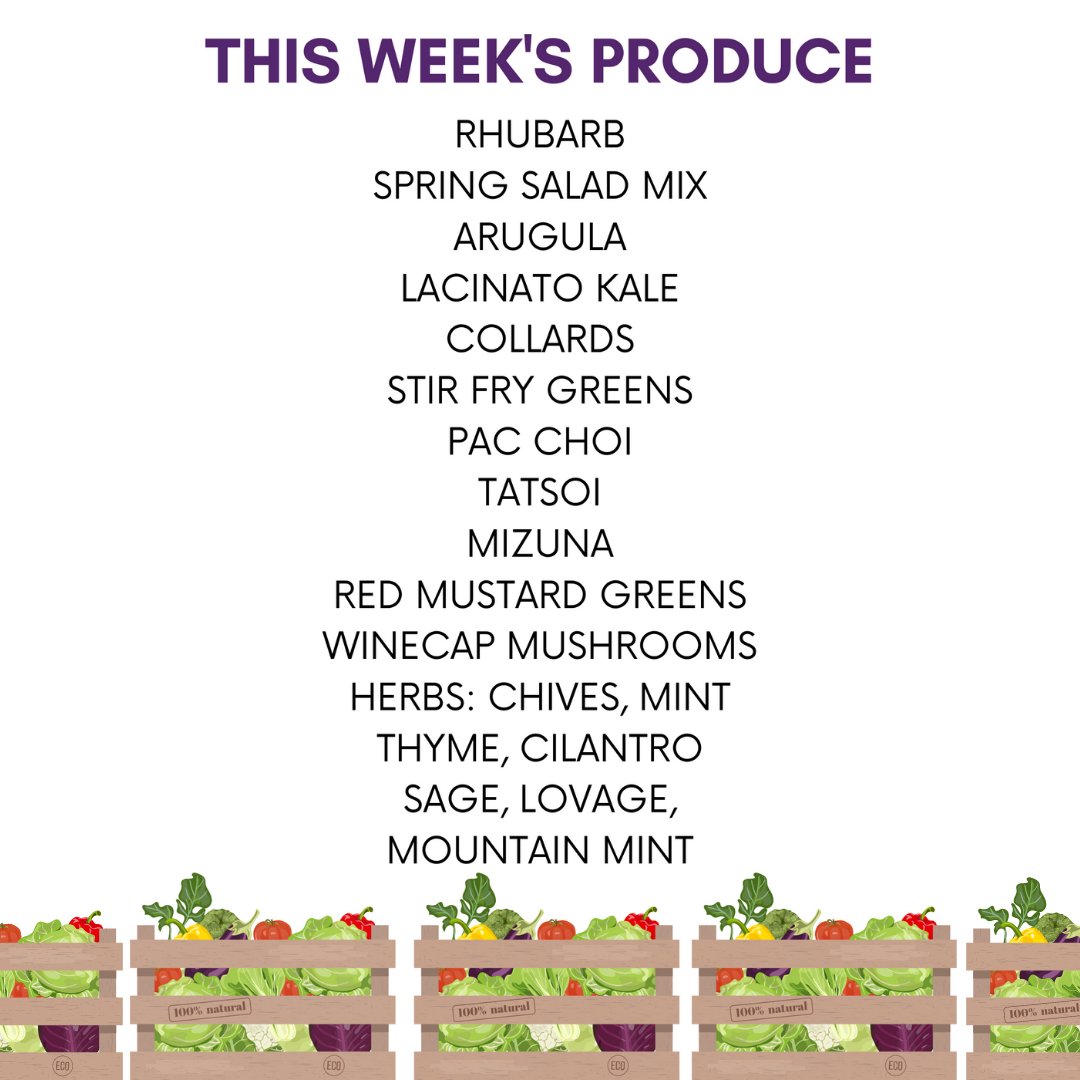 We will be harvesting lotsa fresh spring greens, mushrooms, herbs and rhubarb this week! Place an order for pick up or delivery: lets-grow-akron.square.site/shop/9