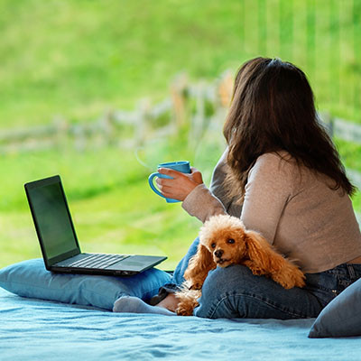 Graemouse's tweet photo. Published a new blog entry Is Remote Work Any More Environmentally Friendly Than In-Office?. https://t.co/dMIzoFYdFd https://t.co/UFnttWXggN
