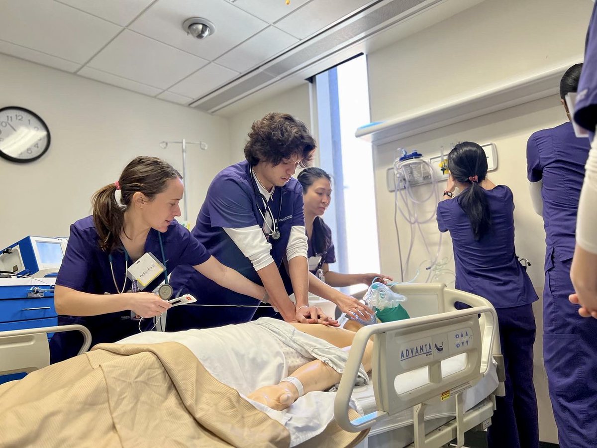 New York University tweet media